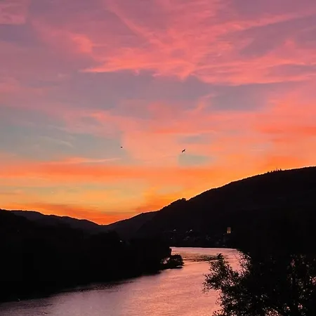 Inselblick In Traumlage Mit Balkon Und Panoramablick * Zell an der Mosel